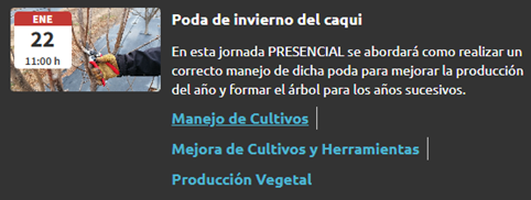  PODA DE INVIERNO DEL CAQUI